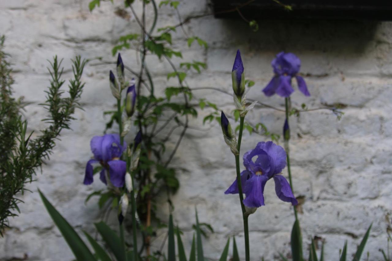 B&B Les Iris 布鲁塞尔 外观 照片